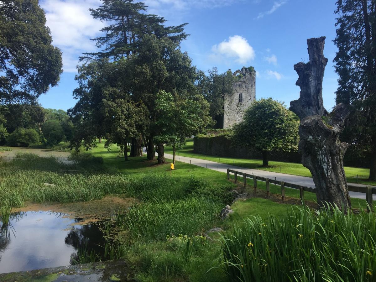 Castlemartyr Holiday Mews 3 Bed By Trident Holiday Homes Dış mekan fotoğraf